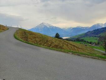 Apartamento Niesenblick