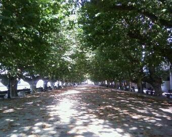 Apartamento Acogedora Casa Al Lado De Padr�n Vut-co-02999