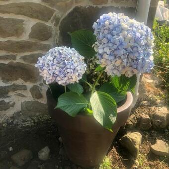 Casa Rural En Arriondas