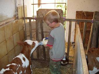 Apartamento Bauernhof Waira