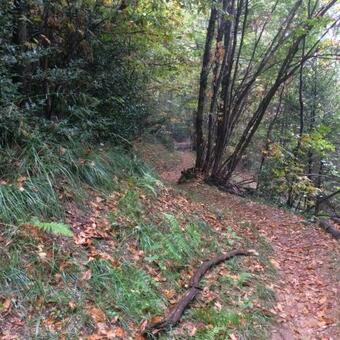 Apartamento Rifugio Nel Bosco