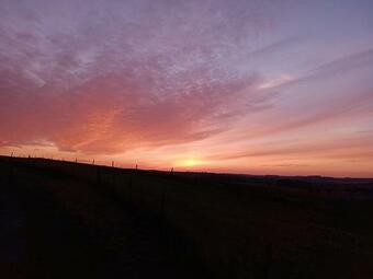 Louloudia Huis In Het Bos Met Mooi Uitzicht En Kalmte