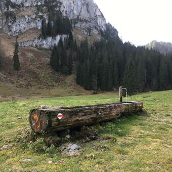 Apartamento G�stehaus Metzler