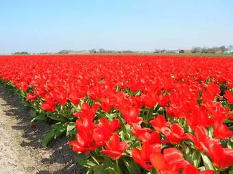 Appels En Peren Bed And Breakfast