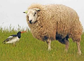 Hotel Restaurant It Posthus