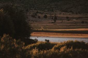 Drvena Ba?va Za Spavanje