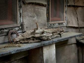Wooden Holiday Home In Leudal Belgium With Fireplace