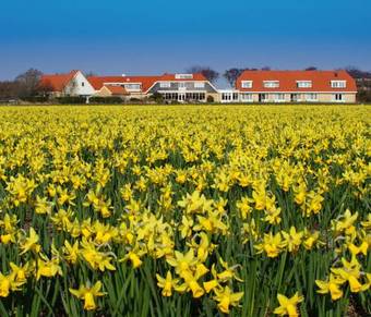 Hotel Tatenhove Texel