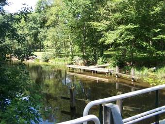 Bed & Breakfast 't Ossenschot