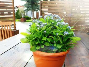 Hostal Onefourfour Apartment