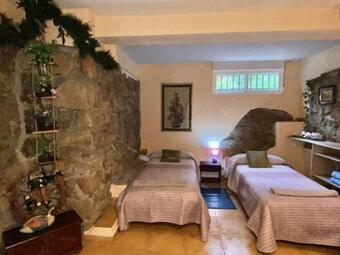 Naturaleza En El Pantano De San Juan