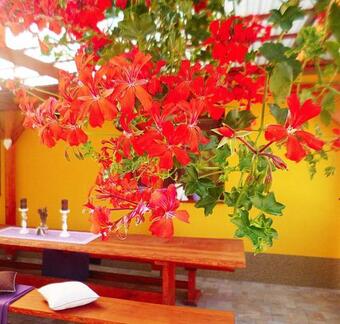 Hostal Penzion A Vinarstvi Vavricek