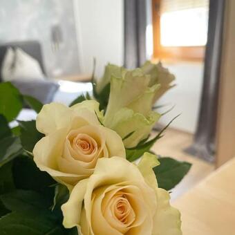 Agroturismo Schusterhof D�lsach