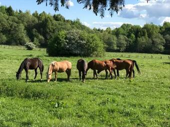 Apartamento Gut Neuhof