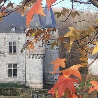 Apartamento Le Grenier De La Dauphine