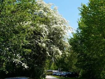 Chalet Chaletpark De Visotter2