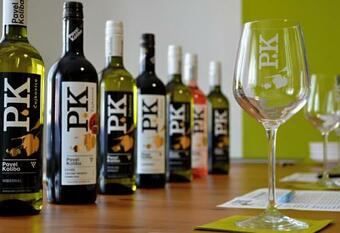 Apartamento Vina?stv� Koliba