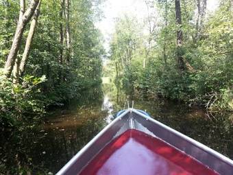 Bed & Breakfast De Paaslo�rhof