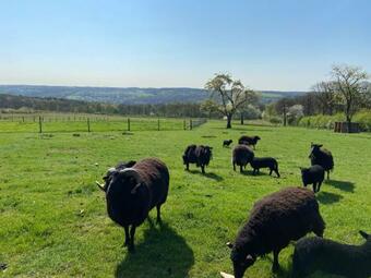 XXV House - 8 Personnes