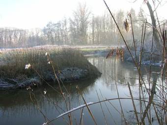 Agroturismo Holiday Home De Oude Boerderij Moergestel