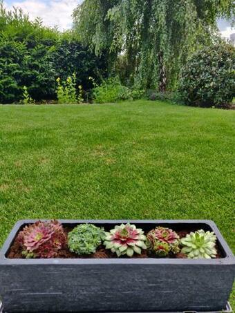 Menbergs Harmony Homestay