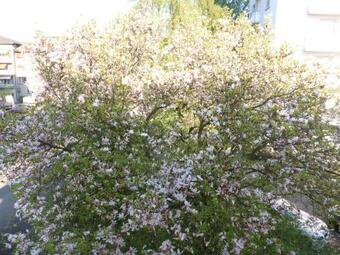 Apartamento Cooldis 10