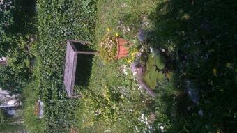 Apartamento Ferien Auf Dem Weingut