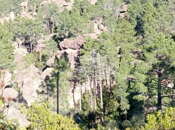 Los Pinares De Rodeno S.l.