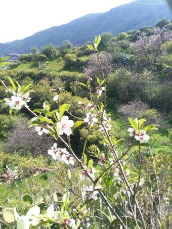 Chalet Ruta Barranco De Los Cern�calos