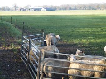 Bed & Breakfast Erve 't Hacht