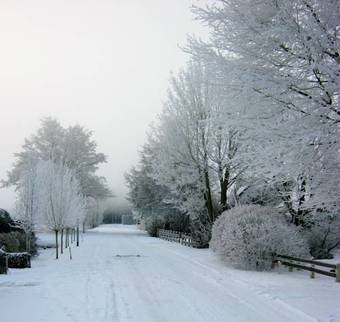 Bed & Breakfast Bij Janzen