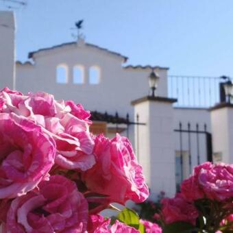 Boutique Wine Farm In Vineyards Near Barcelona