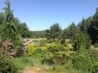 Apartamento Zielony Gaj