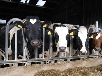 B&b/boertel De Meander