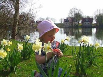 Holiday Home Landgoed Het Timmerholt8