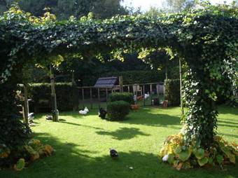 Bed & Breakfast Benboverijssel