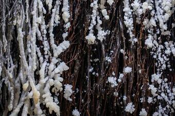 Villa ?abowska Chata - Basen, Sauna, Grota Solna