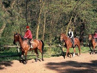 Hostal Willa Baltazar