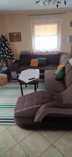 Domek Nad Jeziorem Czorszty?skim