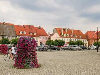 Fio?kowe Apartamenty W Dolinie Baryczy De Lux