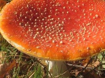 Bed & Breakfast Zeeland Aan Zee