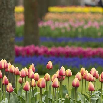 Apartamento Spaarne Loft