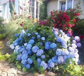 Hostal Agroturystyka S?oneczny Zak?tek