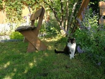 Apartamento Azyl-w25