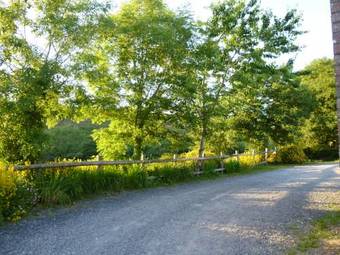 Nantgwynfaen Organic Farm B&B Wales