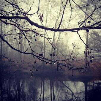 Masuria Warsaw Family