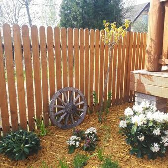 Apartamenty Sawino 4