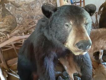 Agroturismo Bezpieczna Przysta? - Apartamenty