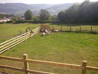 Lodge Blaen-nant-y-groes Farm Cottages