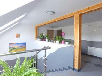 Bieszczadzki Horyzont